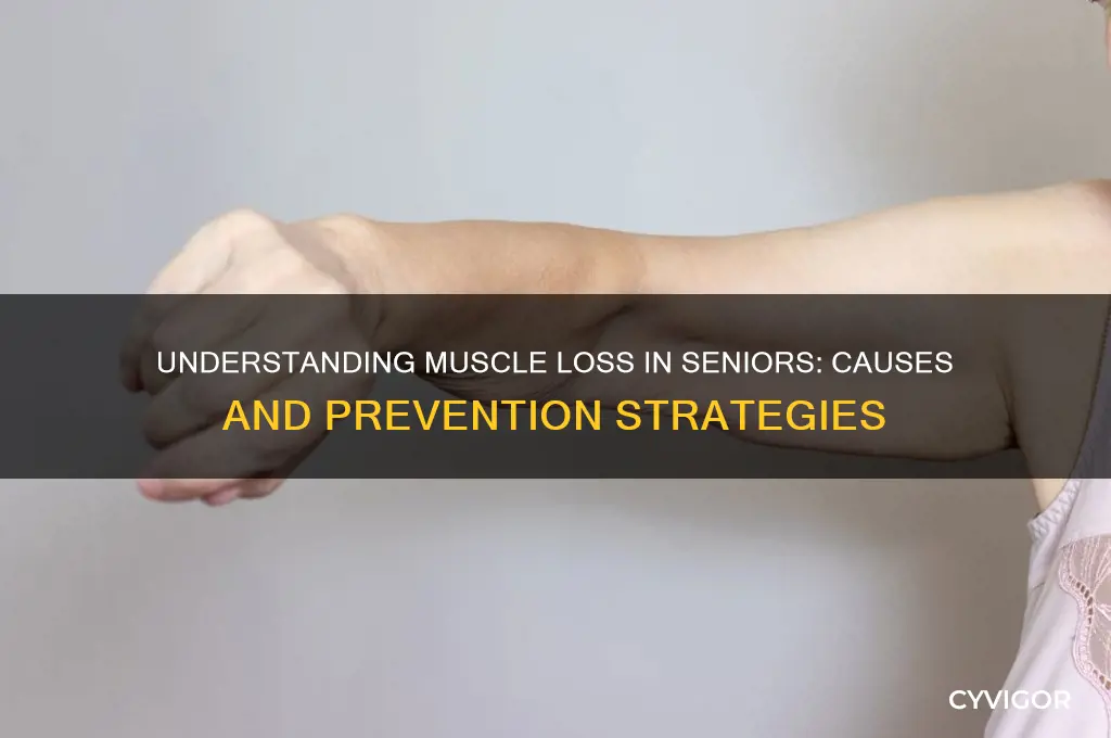 what causes muscle loss in seniors