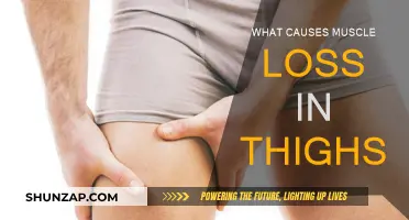 Understanding Muscle Loss in Thighs: Reasons and Solutions
