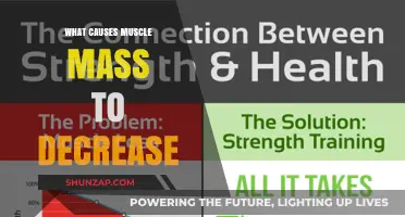 Understanding Muscle Loss: Causes of Declining Muscle Mass Explained