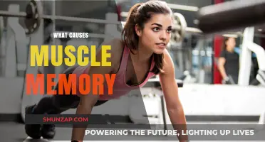 Understanding Muscle Memory: Causes and Mechanisms Behind Automatic Movements