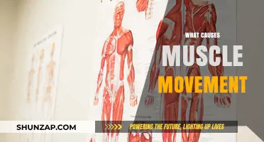 Understanding the Science Behind Muscle Movement: Causes and Mechanisms