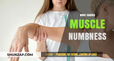 Understanding Muscle Numbness: Causes, Symptoms, and Effective Remedies