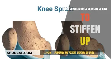 Why Your Inner Knee Muscles Stiffness Occurs and How to Relieve It