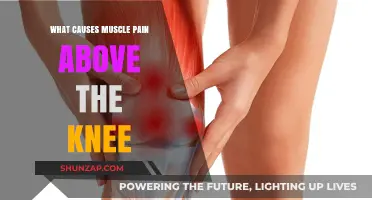 Understanding Causes of Muscle Pain Above the Knee: Common Triggers Explained