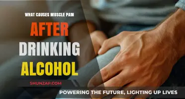 Alcohol and Muscle Pain: Unraveling the Causes of Post-Drinking Aches