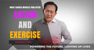 Post-Meal Workout Woes: Unraveling Muscle Pain Causes and Remedies