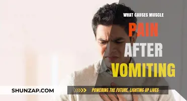Vomiting and Muscle Pain: Understanding the Causes and Relief