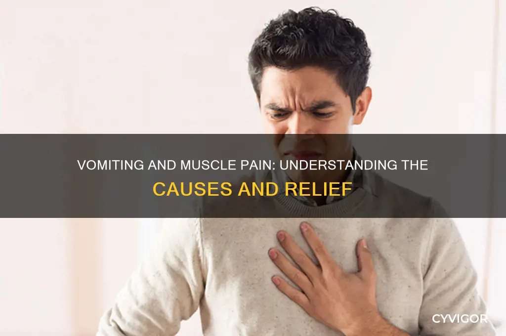 what causes muscle pain after vomiting
