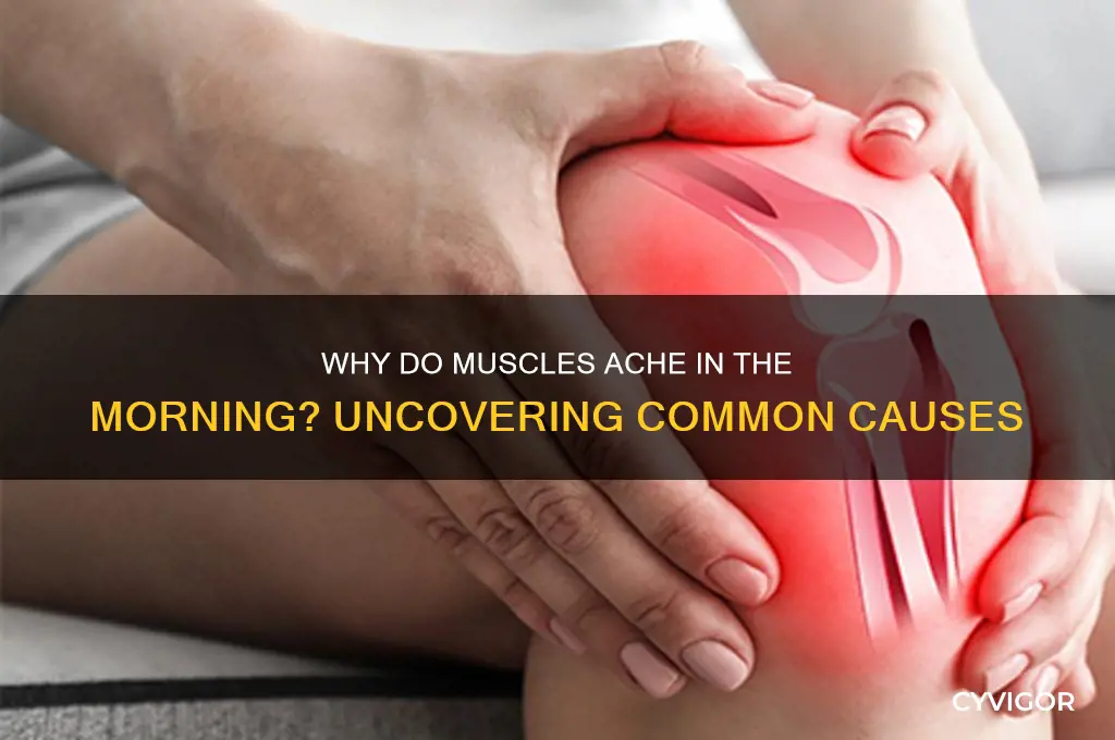 what causes muscle pain after waking up