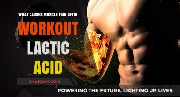 Lactic Acid and Post-Workout Muscle Pain: Unraveling the Truth