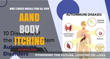 Understanding Systemic Muscle Pain and Body Itching: Causes and Solutions