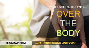 Understanding the Mystery of Widespread Muscle Pain