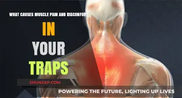 Understanding Trap Muscle Pain: Causes and Discomfort Explained
