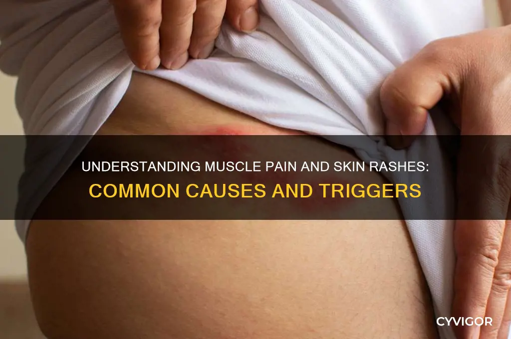 what causes muscle pain and skinbrash