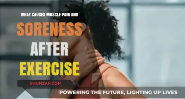 Understanding Post-Workout Muscle Pain and Soreness: Causes and Remedies
