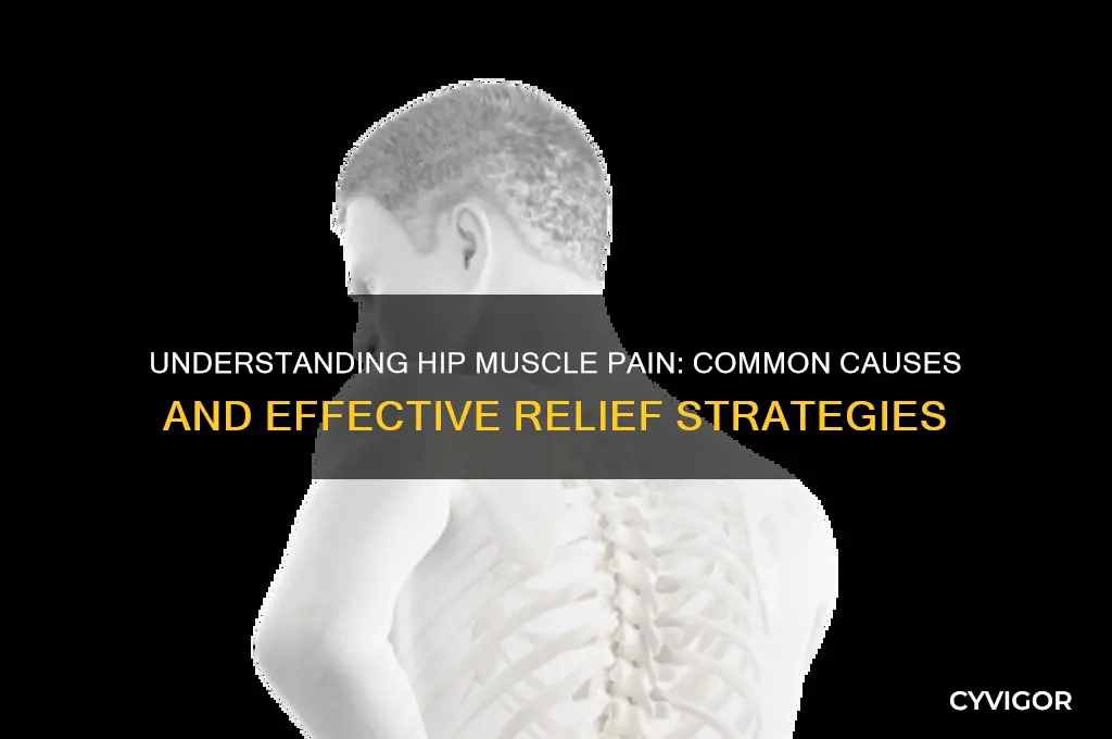 what causes muscle pain around hips