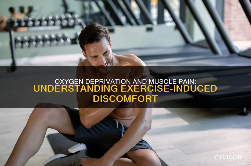 what causes muscle pain during exercise because of insufficient oxygenation