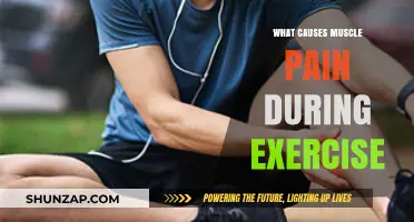 Understanding Muscle Pain: Causes During Exercise and Prevention Tips