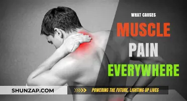 Understanding Systemic Muscle Pain: Causes and Comprehensive Relief Strategies