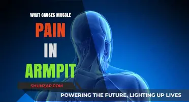 Understanding Armpit Muscle Pain: Common Causes and Effective Remedies