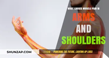 Understanding Arm and Shoulder Muscle Pain: Common Causes and Remedies