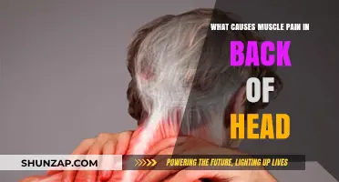 Understanding Causes of Muscle Pain in the Back of Your Head