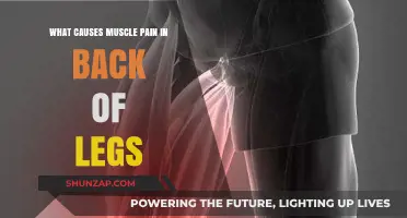 Understanding Causes of Muscle Pain in the Back of Legs
