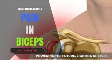 Understanding Biceps Muscle Pain: Common Causes and Effective Remedies