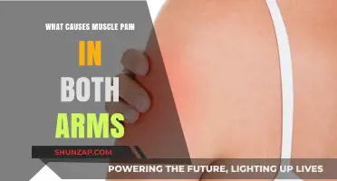 Understanding Causes of Muscle Pain in Both Arms: A Comprehensive Guide