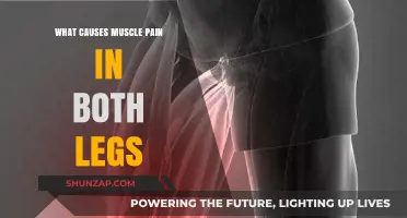 Understanding Muscle Pain: Causes of Leg Discomfort in Both Legs