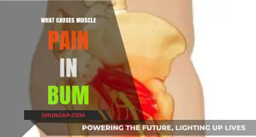 Understanding Bum Muscle Pain: Common Causes and Effective Relief Strategies
