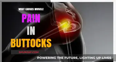 Understanding Buttock Muscle Pain: Common Causes and Effective Remedies