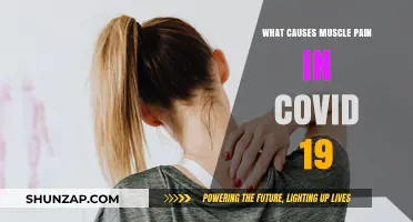 Understanding COVID-19 Muscle Pain: Causes and Mechanisms Explained