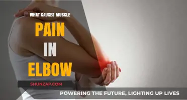Understanding Elbow Muscle Pain: Common Causes and Effective Remedies