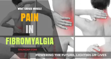 Understanding Fibromyalgia: Unraveling the Mystery of Persistent Muscle Pain
