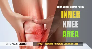 Understanding Inner Knee Muscle Pain: Common Causes and Remedies