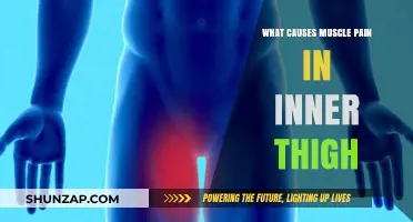 Understanding Inner Thigh Muscle Pain: Causes and Relief Strategies