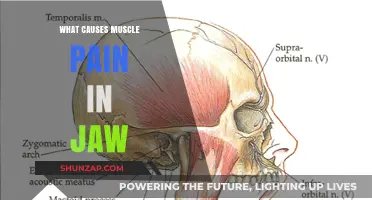 Jaw Muscle Pain: Causes, Triggers, and Relief Strategies Explained
