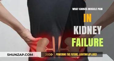 Understanding Muscle Pain in Kidney Failure: Causes and Connections