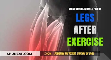 Understanding Post-Workout Leg Muscle Pain: Causes and Remedies