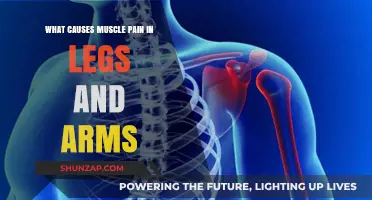 Understanding Muscle Pain: Causes in Legs and Arms Explained