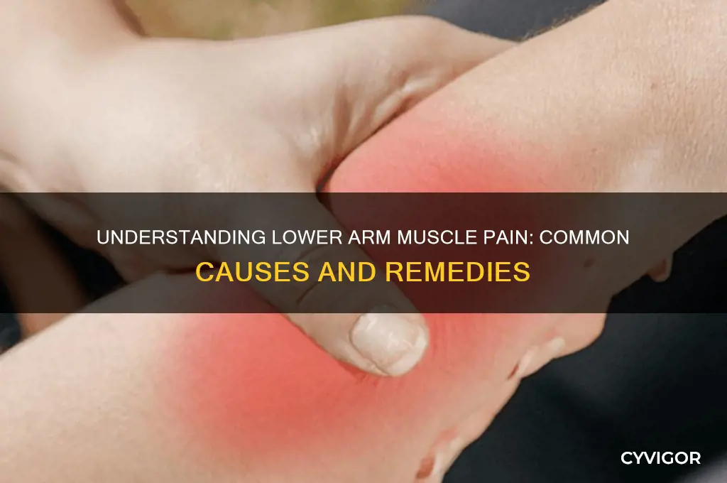 what causes muscle pain in lower arms