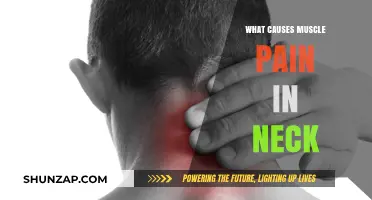 Understanding Neck Muscle Pain: Common Causes and Effective Relief Strategies