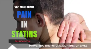 Understanding Statin-Induced Muscle Pain: Causes and Management Strategies