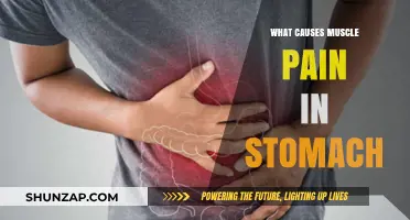 Understanding Stomach Muscle Pain: Causes and Relief Strategies Explained
