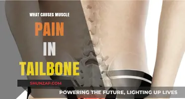 Understanding Tailbone Muscle Pain: Causes, Symptoms, and Relief Strategies