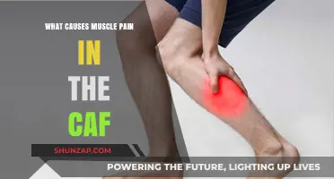 Understanding Muscle Pain in the Calf: Common Causes and Remedies