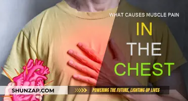 Understanding Chest Pain: Muscle Aches and Pains