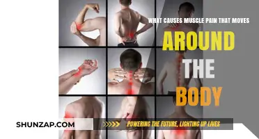 Understanding Migratory Muscle Pain: Causes and Body Movement Patterns