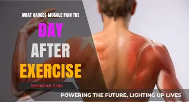 Understanding Delayed Onset Muscle Soreness: Causes and Remedies